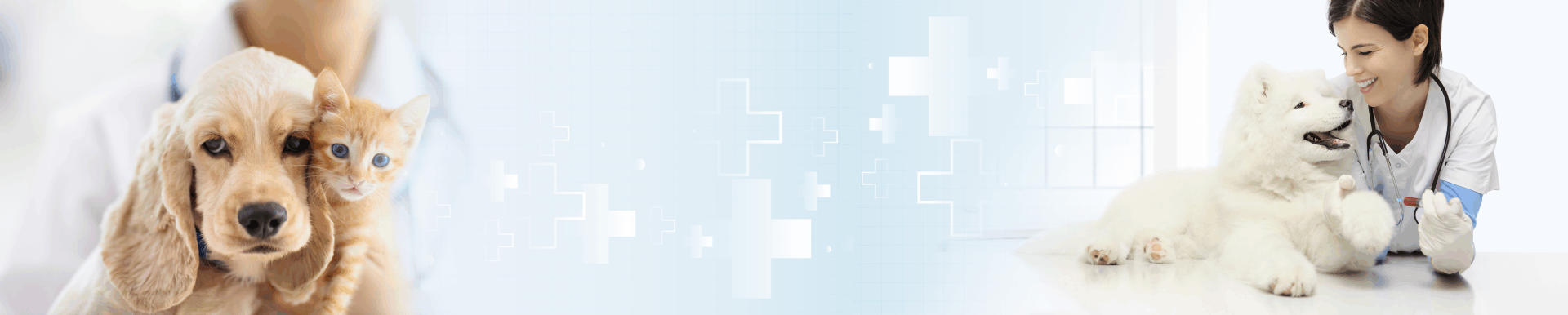 Ветеринария