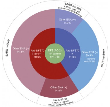 Улучшение диагностики ревматических заболеваний с помощью анти-DFS70 антител