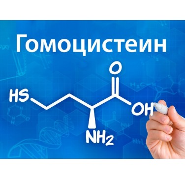 Гомоцистеин — маркер смертности от сердечно сосудистых заболеваний и старения мозга
